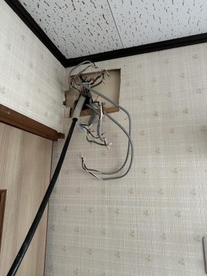 image1_2.jpeg